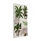 Stupell Industries Tropical Monkey Studies Wall Plaque Art Design by Vision Studio